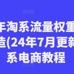 2024下半年淘系流量权重规则解析 爆款打造全流程实操教程-雨叶虚拟资源网
