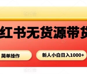 小红书无货源带货全流程攻略 新手小白零门槛上手实操指南-雨叶虚拟资源网