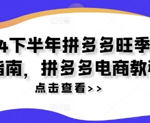 2024下半年拼多多旺季运营指南 电商店铺实操全教程-雨叶虚拟资源网