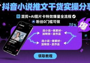 抖音小说推文实操全流程 0粉丝0门槛混剪加AI特效爆量技巧-雨叶虚拟资源网