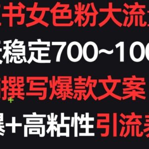 小红书女粉引流变现实操方法 AI写爆款文案日入700-1000教程-雨叶虚拟资源网