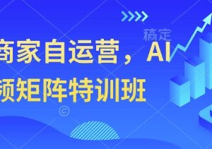 实体商家AI短视频矩阵特训班 从零掌握获客引流全流程技巧-雨叶虚拟资源网