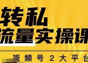 群响公转私实操课 抖音视频号双端私域流量搭建运营教程-雨叶虚拟资源网