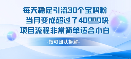 适合小白操作的日引流30人月入4万低门槛项目流程拆解