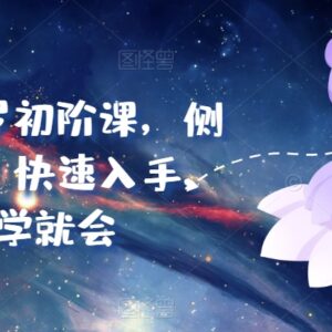 米卡实占塔罗初阶课 零基础易学侧重实操适合新手快速入门-雨叶虚拟资源网