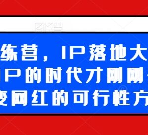 2024超级IP落地训练营 素人从0打造可变现个人IP全流程实操课程-雨叶虚拟资源网