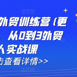 2024年11月更新AI闪电做外贸训练营 从0到3全流程实战课-雨叶虚拟资源网