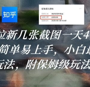 知乎拉新变现玩法拆解 适合小白的低门槛实操全教程分享-雨叶虚拟资源网