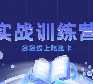 拼多多运营实战训练营 从0到1打造可盈利的正规赚钱店铺-雨叶虚拟资源网