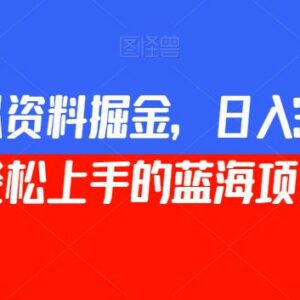 小红书虚拟资料掘金玩法详解 小白零基础可上手的低门槛副业-雨叶虚拟资源网