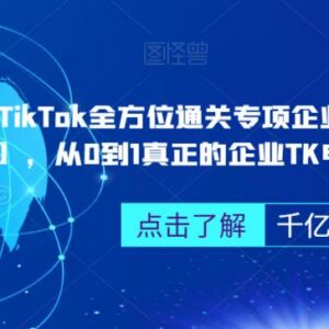 第三期TikTok企业专项陪跑 从0到1掌握全流程电商运营技巧-雨叶虚拟资源网