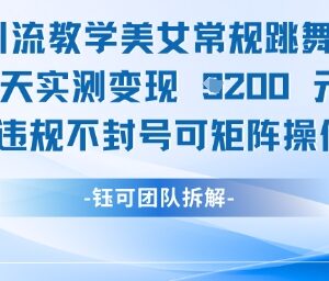 男粉引流实操教学 美女跳舞视频2天变现1k+合规可矩阵操作-雨叶虚拟资源网