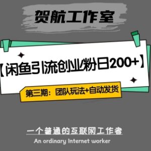 第三期闲鱼创业粉单日200+引流玩法 含全自动发货团队闭环模式-雨叶虚拟资源网