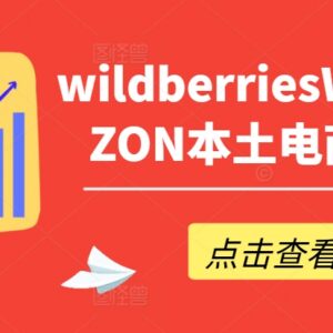 俄罗斯WB野莓/OZON本土电商运营 产品优化出单实操系列课-雨叶虚拟资源网