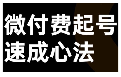 抖音视频号微付费起号速成课 直播运营全流程实操教学