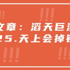 2025年经济形势与非AI风口研判 各群体抓机遇增收实操指南-雨叶虚拟资源网