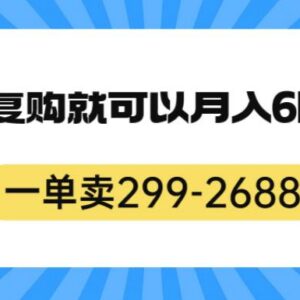 299-2688元高客单副业项目拆解 靠复购可稳定月入6k-雨叶虚拟资源网