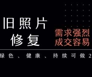 老照片修复低门槛副业全流程教程 长期稳定月入五千至一万元-雨叶虚拟资源网