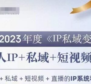 2023IP私域变现营系统课程 创始人私域IP打造运营变现实用攻略-雨叶虚拟资源网