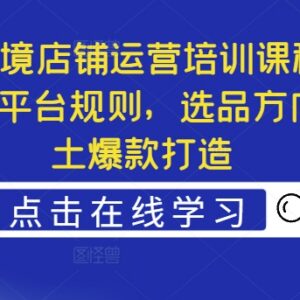 Ozon跨境店铺运营系统教程 掌握平台规则选品逻辑及爆款打造方法-雨叶虚拟资源网