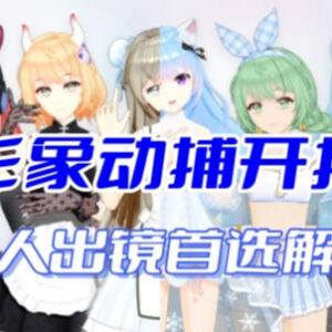 AI视频动捕虚拟辅助直播产品介绍 无需真人出镜适配多平台-雨叶虚拟资源网