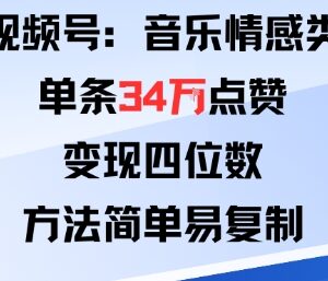 视频号分成计划音乐情感类玩法 爆款打造及可复制变现攻略-雨叶虚拟资源网