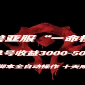 魔兽亚服一命模式搬砖玩法 全自动脚本10天成号收益攻略-雨叶虚拟资源网
