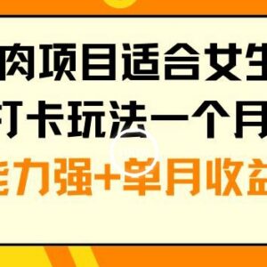 适合女生的年底小红书打卡副业 低门槛操作涨粉快变现收益高-雨叶虚拟资源网