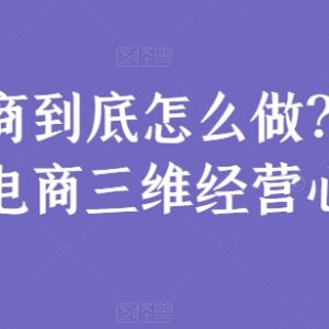 淘系电商怎么运营?三维经营心法及落地实操干货指南-雨叶虚拟资源网