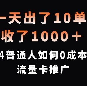 2024普通人0成本入局流量卡推广 盈利逻辑及实操方法详解-雨叶虚拟资源网