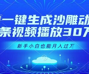 AI一键生成沙雕动画教程 零基础新手可做短视频副业增收-雨叶虚拟资源网