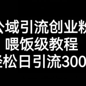 公域引流创业粉喂饭级实操教程 零基础可实现日引流300+-雨叶虚拟资源网