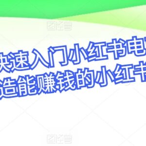 零基础小红书电商入门教程 从0到1打造可盈利的小红书店铺-雨叶虚拟资源网