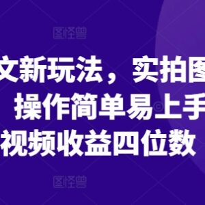 2024小说推文实拍图配文案新玩法教程 操作简单单条收益可达四位数-雨叶虚拟资源网