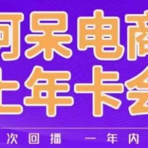 阿呆电商线上年会员课程 淘系运营推广干货持续更新中-雨叶虚拟资源网