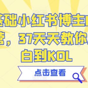 0基础小红书博主IP训练营 37天从小白进阶KOL系统课程-雨叶虚拟资源网
