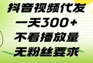 抖音无粉丝要求视频代发项目 不看播放量单日可发3条以上-雨叶虚拟资源网