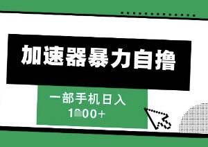 2025游戏加速器暴力自撸红利项目揭秘 单机单日收益超千元-雨叶虚拟资源网
