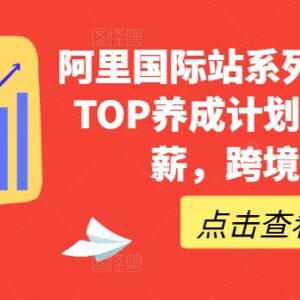阿里国际站运营TOP养成系列课 全链路实操助力跨境从业者能力提升-雨叶虚拟资源网