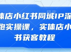 实体店小红书同城IP打造实操课 本地商家同城获客运营教程-雨叶虚拟资源网