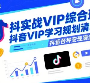 抖音实战VIP综合班教程 涵盖剪辑运营及多类变现渠道学习内容-雨叶虚拟资源网