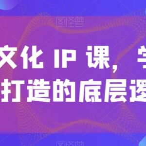 短视频文化IP打造实操课 掌握IP搭建底层逻辑与运营技巧-雨叶虚拟资源网