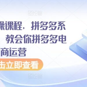 拼多多从0到1系统运营实操课 新手商家开店全流程教学-雨叶虚拟资源网
