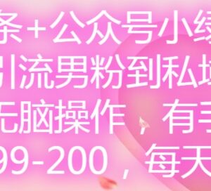 2024微头条+公众号小绿书引流男粉到私域卖套图实操教程-雨叶虚拟资源网