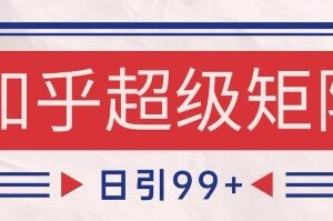 知乎超级矩阵玩法引流精准粉 SEO覆盖实操实现日变现超千元攻略-雨叶虚拟资源网