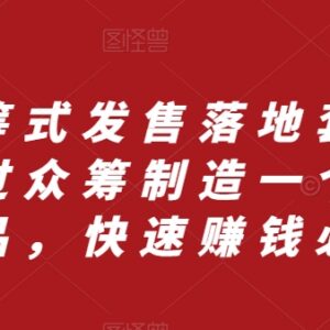 众筹式发售落地教程套装 教你通过众筹打造新产品实现快速盈利-雨叶虚拟资源网