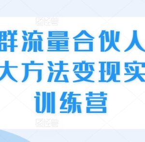社群流量合伙人变现实战训练营 三大引流转化实操方法教学-雨叶虚拟资源网