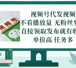 2024最新无门槛短视频代发项目玩法 零粉丝发内容即可赚佣金-雨叶虚拟资源网