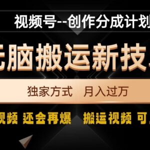 视频号搬运去重破原创方法 高效获取流量打造爆款视频实操教程-雨叶虚拟资源网