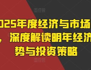 2025年度经济与市场展望 热门资产投资趋势及策略深度解读-雨叶虚拟资源网